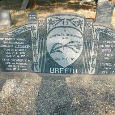 BREEDT :: VAN DER BERG :: VAN RENSBURG