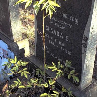 POTGIETER Susara E. 1890-1966