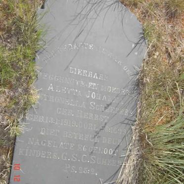 SCHEEPERS Aletta Johanna Petronella nee HERBST 1919-??