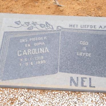 NEL Carolina 1919-1995