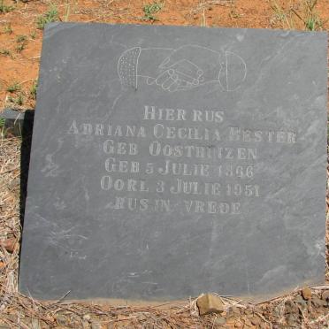 B - Surnames starting with the letter B