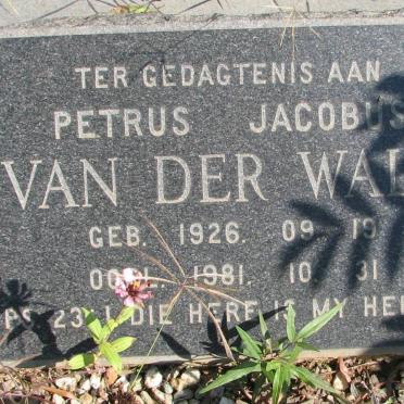WALT Petrus Jacobus, van der 1926-1981