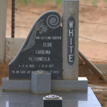 North West, SCHWEIZER-RENEKE district, Makouwskop, Diamanddoorns 169_2, Diamantdoorns, farm cemetery