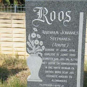 North West, SCHWEIZER-RENEKE district, Biesielaagte 53 HO, Vrede farm cemetery