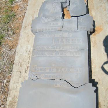 MAREE David J.F. 1850-1932