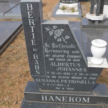 HANEKOM Albertus Johannes 1929-1989 &amp; Susanna Petronella 1932-