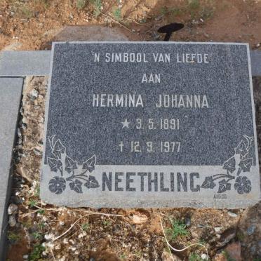 NEETHLING Hermina Johanna 1891-1977