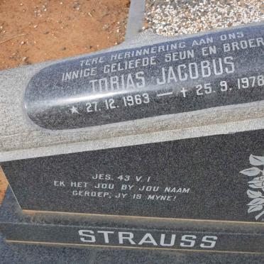 STRAUSS Tobias Jacobus 1963-1978