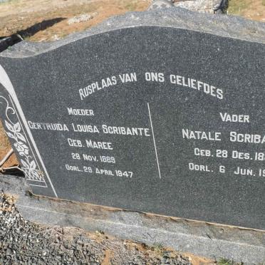 SCRIBANTE Natale 1880-1966 &amp; Gertruida Louisa MAREE 1889-1947