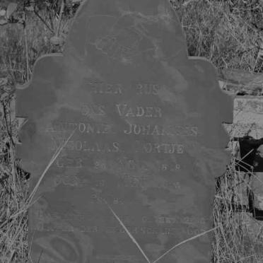 NORTJE Antonie Johannes Nicolaas 1848-1945