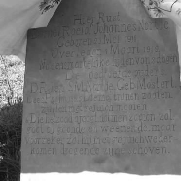 NORTJE Daniel Roelof Johannes 1918-1919