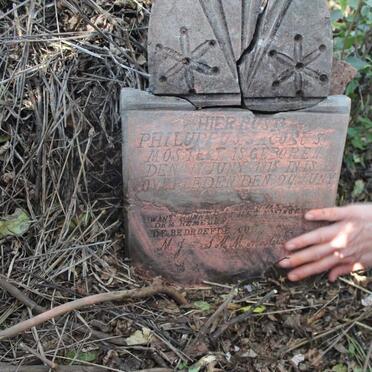 MOSTERT Philuppus Jacobus 1875-? _2