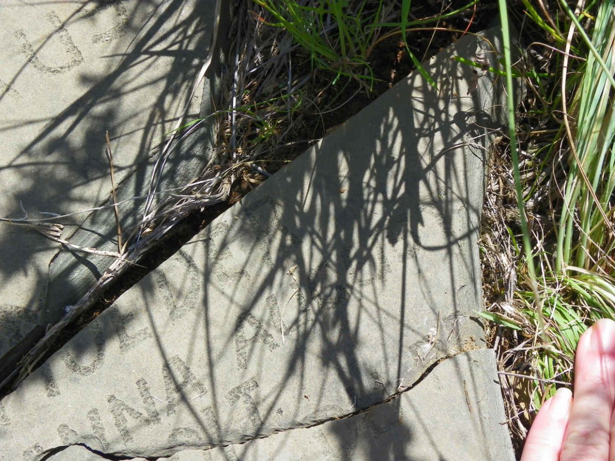 TOIT Susanna Anna Augusta, du nee DU PREEZ 1886-1962