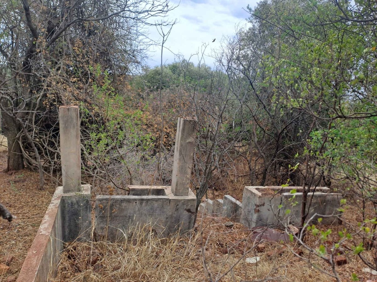 1. Overview / Oorsig