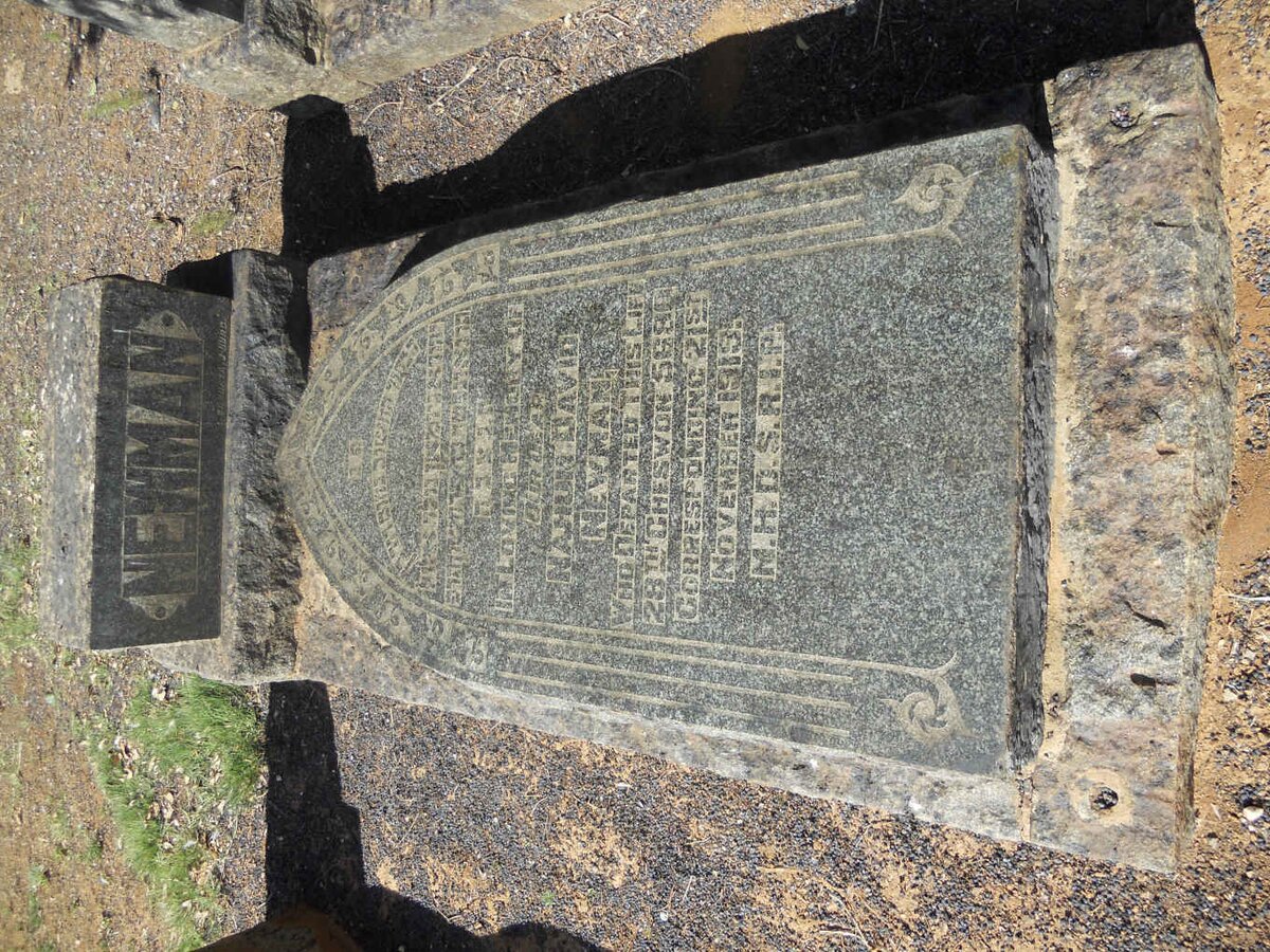 NEWMAN Nahum David -1919