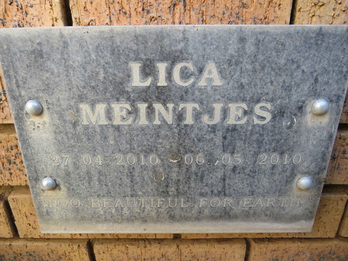 MEINTJES Lica 2010-2010