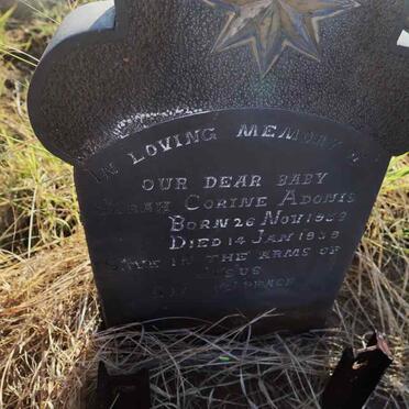 ADONIS Sarah Corine 1938-1939