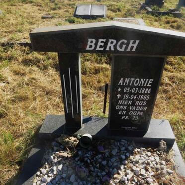 BERGH Antonie 1886-1965