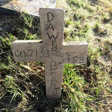 BRANDT Dawid 1953-1953 