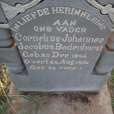 BADENHORST Cornelius Johannes Jacobus 1866-1954