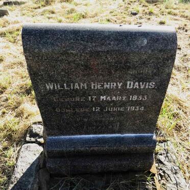DAVIS William Henry 1853-1934