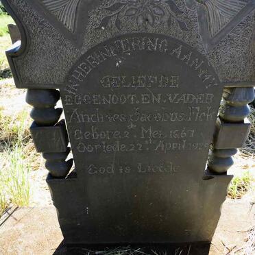 FICK Andries Jacobus 1867-1929