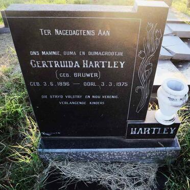 HARTLEY Gertruida nee BRUWER 1896-1975