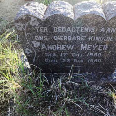 MEYER Andrew 1950-1950