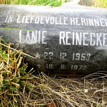 REINECKE Lanie 1953-1973