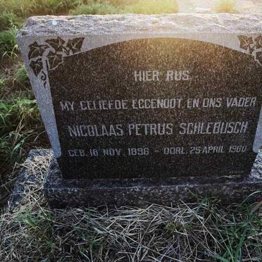 SCHLEBUSCH Nicolaas Petrus 1896-1960