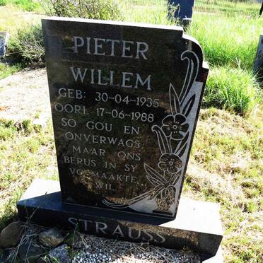 STRAUSS Pieter Willem 1935-1988