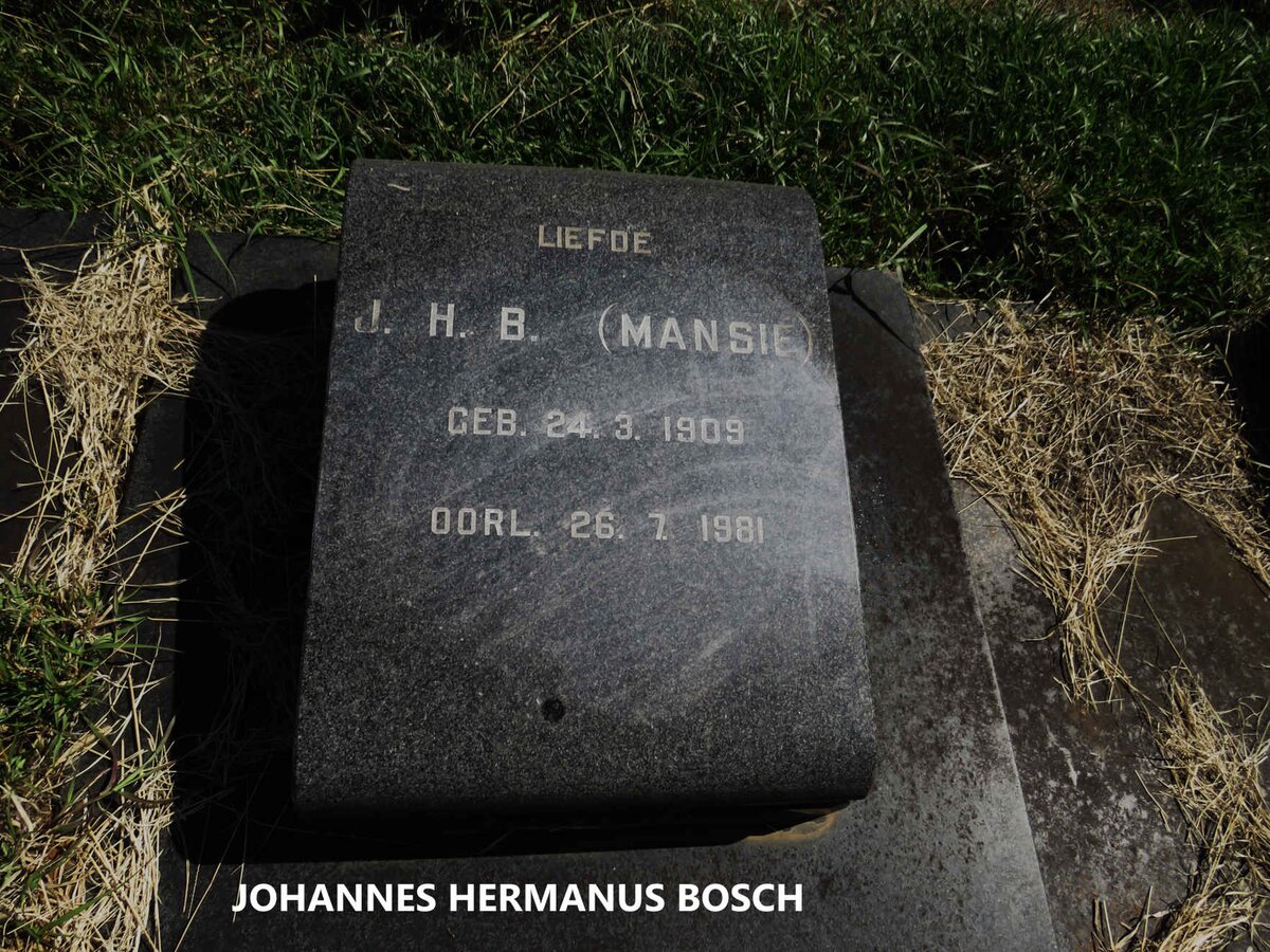 VOSLOO Johannes Hermanus Bosch 1909-1981 