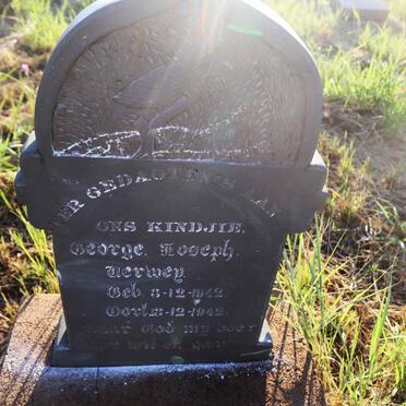 VERWEY George Joseph 1942-1942