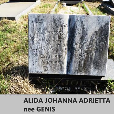 VILJOEN Alida Johanna Adrietta nee GENIS 1896-1990