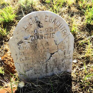 VENTER Gabriel Jacobus 1906-1907