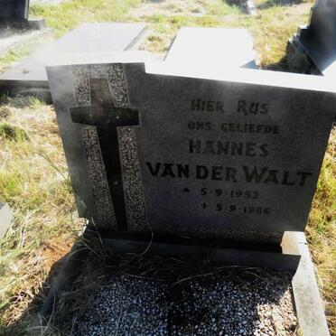 WALT Hannes, van der 1953-1986