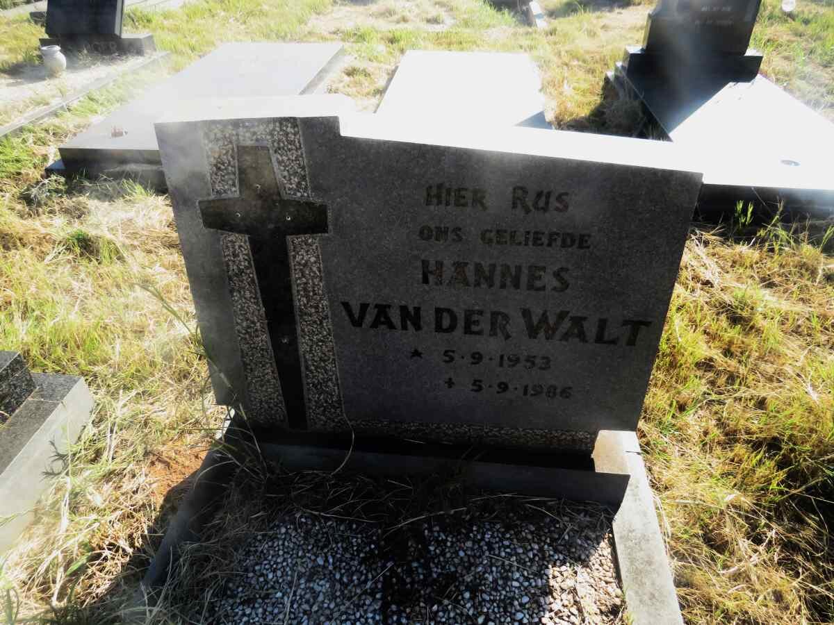 WALT Hannes, van der 1953-1986