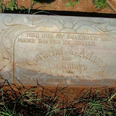 ADAMS Cornelia S. nee J.v. VUUREN 1913-19?8