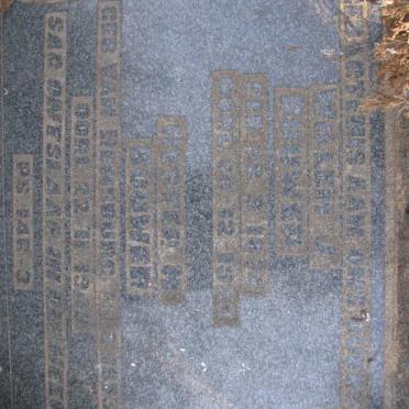 BOUWER Willem J. 1874-1933 &amp; Hester H. VAN RENSBURG 1875-1948