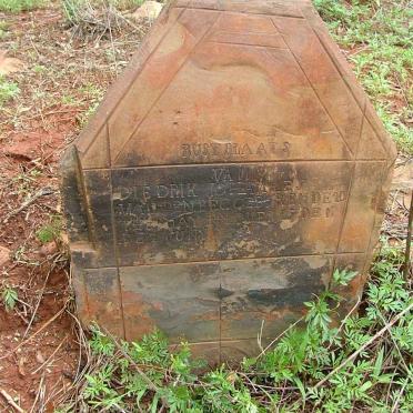 BERG Diedrik Johannes, van den 