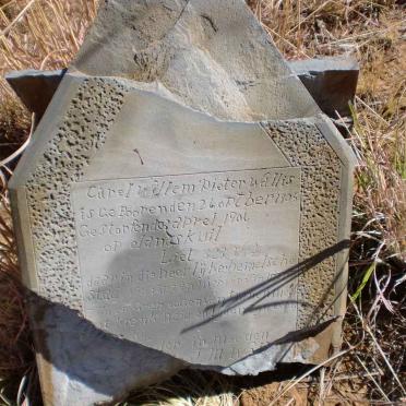 WALLIS Carel Willem Pieter 1905-1906