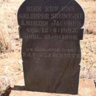 SCHUTTE Andries Jacobus 1882-1886