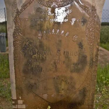 CRONJE Dina Johanna nee STYNE 1879-1920