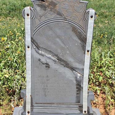 ROOIJEN Petrus Welhelmus, van 1883-1919