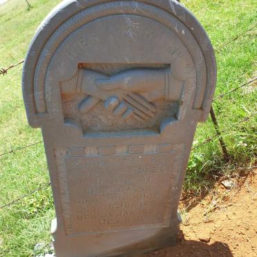 SCHEEPERS Jacoba M. nee CROMHOUT 1895-1953