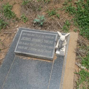 EKKERD Jacobus Johannes 1960-1960