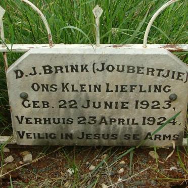 BRINK D.J. 1923-1924