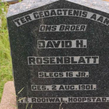 ROSENBLATT David H. -1901