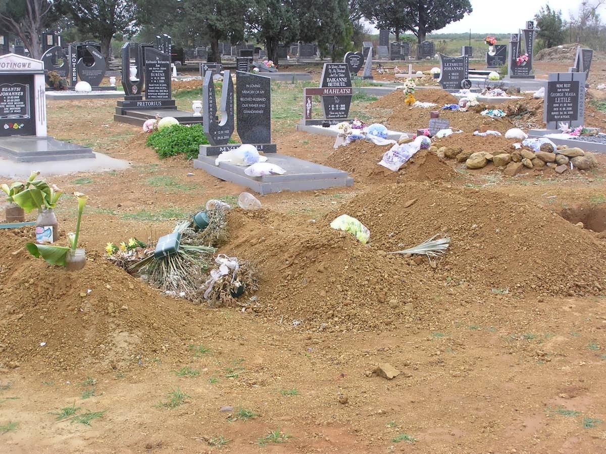 2. Overview / Oorsig