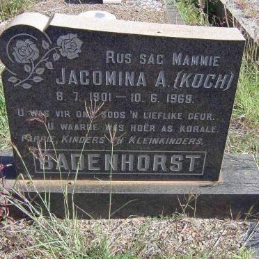 BADENHORST Jacomina A. nee KOCH 1901-1969